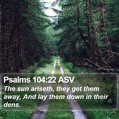Psalms 104:22 ASV Bible Verse Image