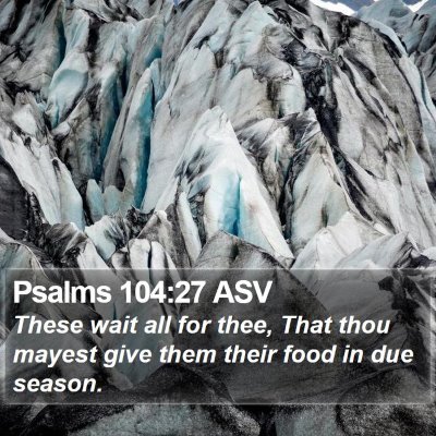 Psalms 104:27 ASV Bible Verse Image