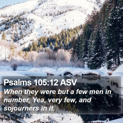 Psalms 105:12 ASV Bible Verse Image