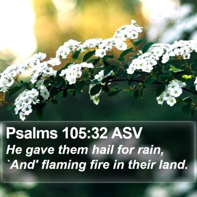 Psalms 105:32 ASV Bible Verse Image