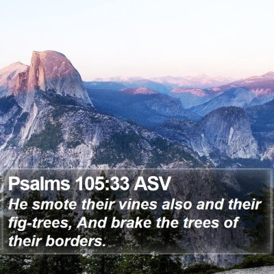 Psalms 105:33 ASV Bible Verse Image