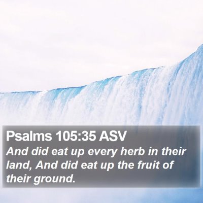 Psalms 105:35 ASV Bible Verse Image