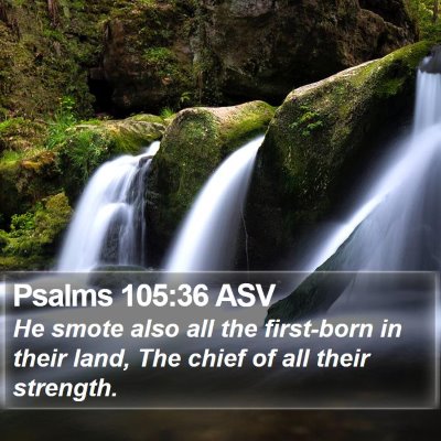 Psalms 105:36 ASV Bible Verse Image