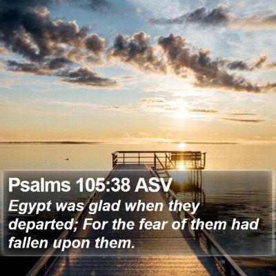 Psalms 105:38 ASV Bible Verse Image