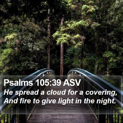 Psalms 105:39 ASV Bible Verse Image