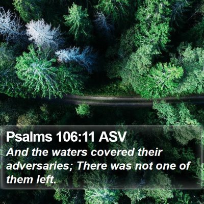 Psalms 106:11 ASV Bible Verse Image