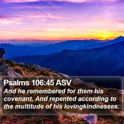 Psalms 106:45 ASV Bible Verse Image