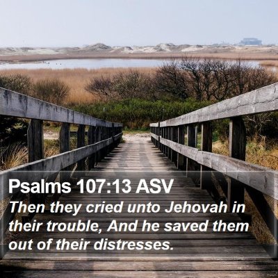 Psalms 107:13 ASV Bible Verse Image