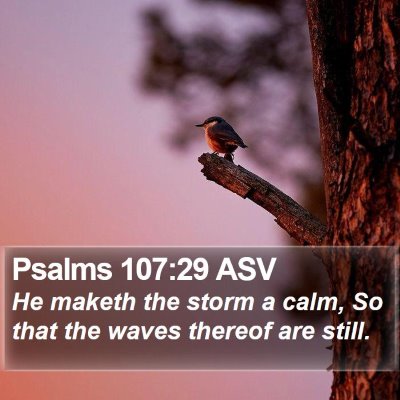 Psalms 107:29 ASV Bible Verse Image