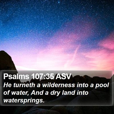 Psalms 107:35 ASV Bible Verse Image