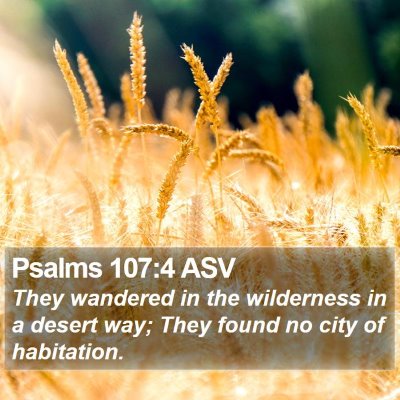 Psalms 107:4 ASV Bible Verse Image