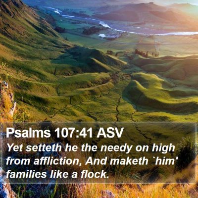 Psalms 107:41 ASV Bible Verse Image