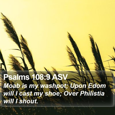 Psalms 108:9 ASV Bible Verse Image
