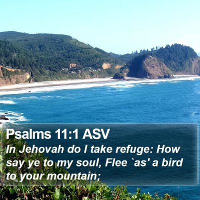 Psalms 11:1 ASV Bible Verse Image