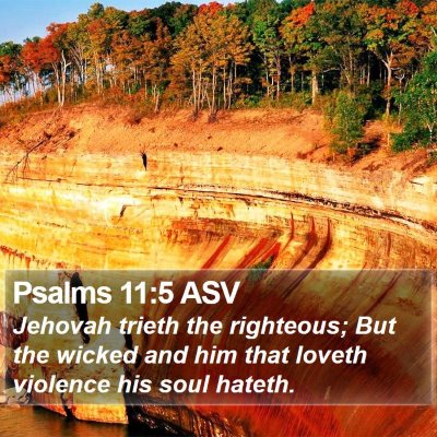 Psalms 11:5 ASV Bible Verse Image
