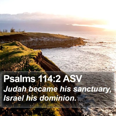 Psalms 114:2 ASV Bible Verse Image