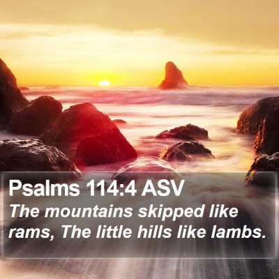 Psalms 114:4 ASV Bible Verse Image