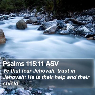 Psalms 115:11 ASV Bible Verse Image