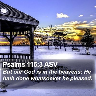 Psalms 115:3 ASV Bible Verse Image