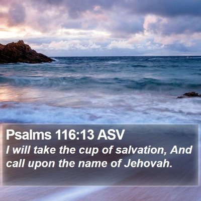 Psalms 116:13 ASV Bible Verse Image