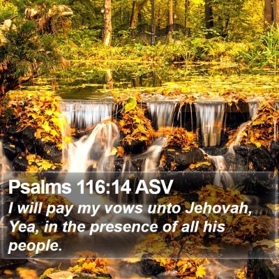 Psalms 116:14 ASV Bible Verse Image