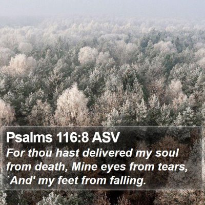 Psalms 116:8 ASV Bible Verse Image