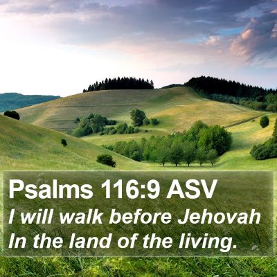 Psalms 116:9 ASV Bible Verse Image