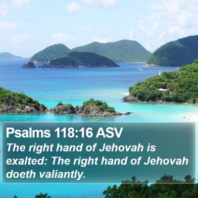 Psalms 118:16 ASV Bible Verse Image