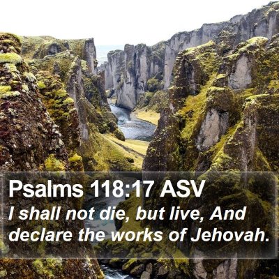 Psalms 118:17 ASV Bible Verse Image