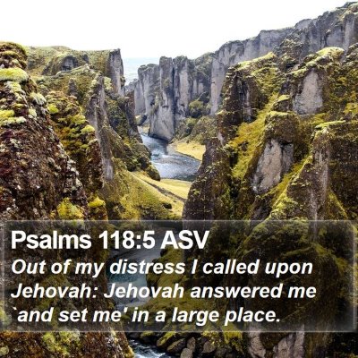 Psalms 118:5 ASV Bible Verse Image