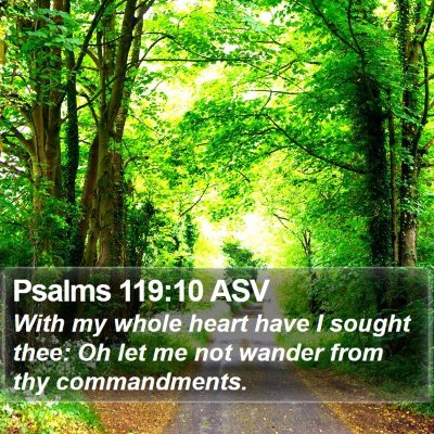 Psalms 119:10 ASV Bible Verse Image