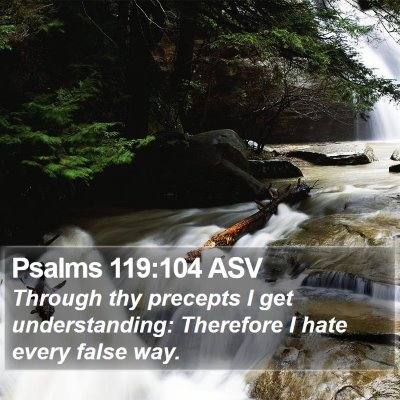 Psalms 119:104 ASV Bible Verse Image