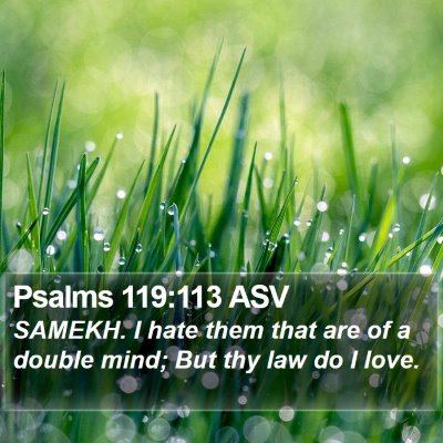 Psalms 119:113 ASV Bible Verse Image