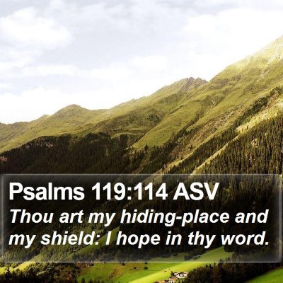 Psalms 119:114 ASV Bible Verse Image