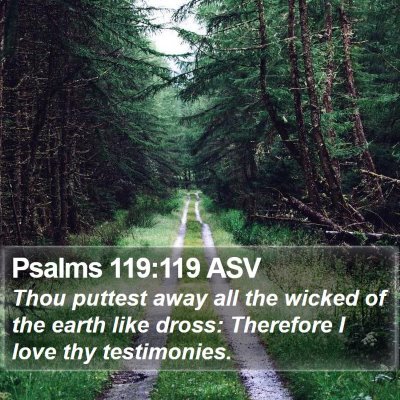 Psalms 119:119 ASV Bible Verse Image