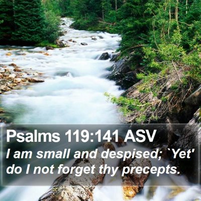 Psalms 119:141 ASV Bible Verse Image