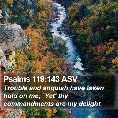 Psalms 119:143 ASV Bible Verse Image