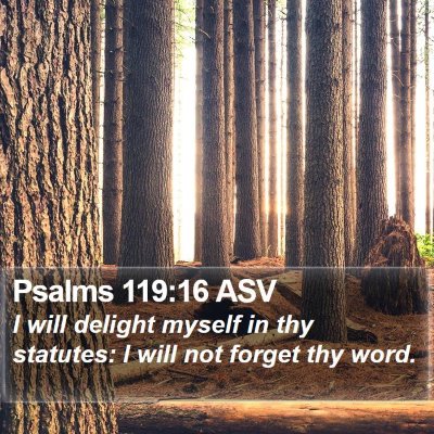 Psalms 119:16 ASV Bible Verse Image