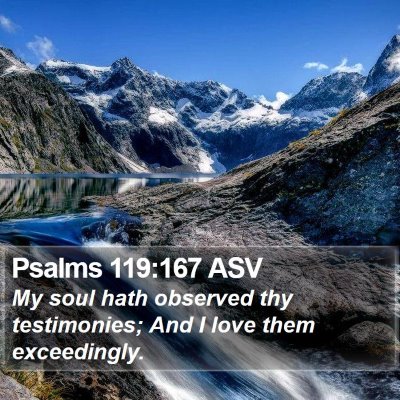 Psalms 119:167 ASV Bible Verse Image