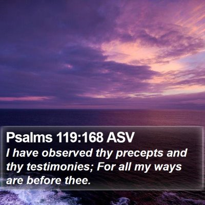 Psalms 119:168 ASV Bible Verse Image
