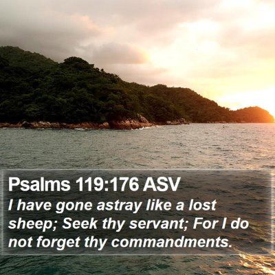 Psalms 119:176 ASV Bible Verse Image