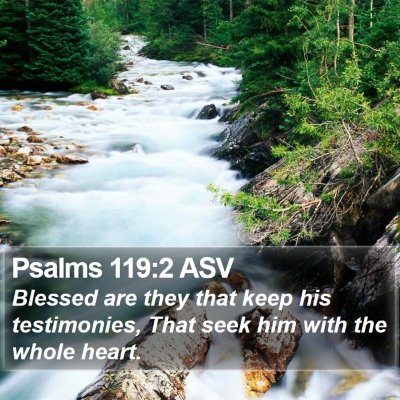 Psalms 119:2 ASV Bible Verse Image