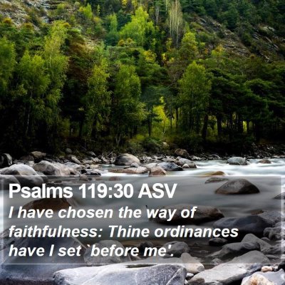 Psalms 119:30 ASV Bible Verse Image