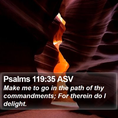 Psalms 119:35 ASV Bible Verse Image