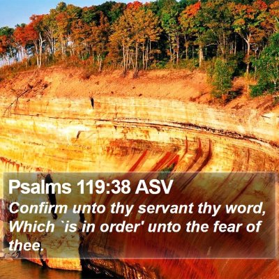 Psalms 119:38 ASV Bible Verse Image