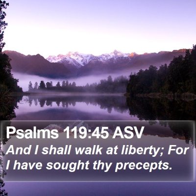 Psalms 119:45 ASV Bible Verse Image