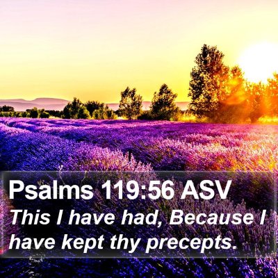 Psalms 119:56 ASV Bible Verse Image