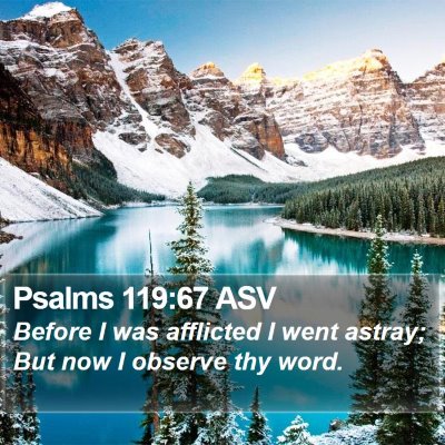 Psalms 119:67 ASV Bible Verse Image