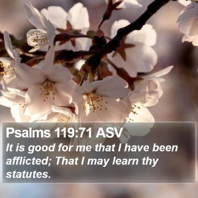 Psalms 119:71 ASV Bible Verse Image