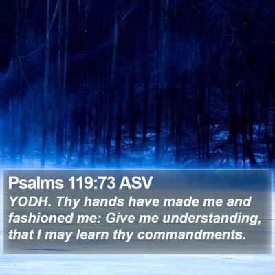 Psalms 119:73 ASV Bible Verse Image